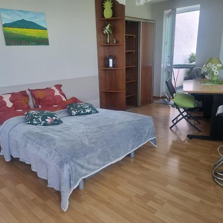 弗罗茨瓦夫Sloneczny Apartamencik公寓 外观 照片